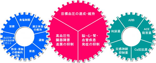 動脈 硬化 改善 ためして ガッテン